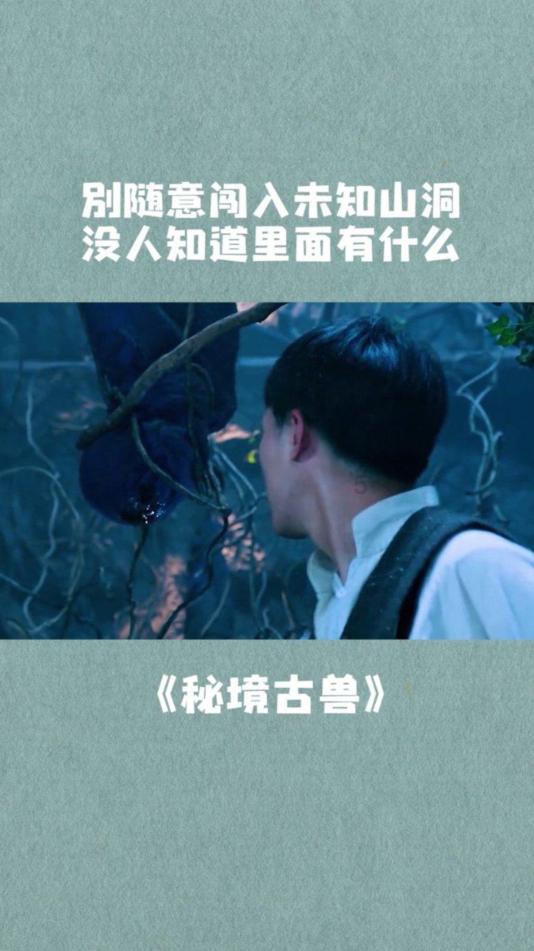 冒险岛2