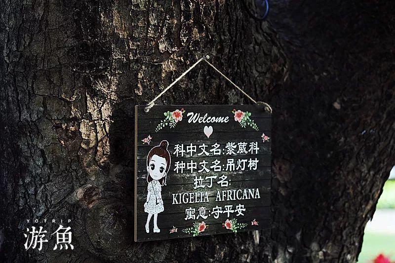 新超西游记