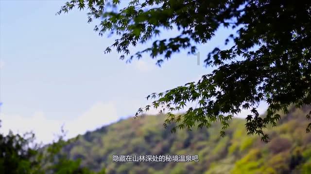 东田镇：赶圩日 年味浓