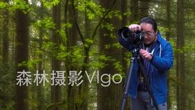 植物大战僵尸1