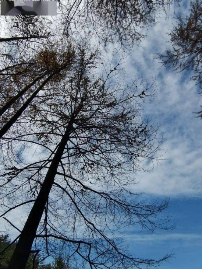 梦幻西游：策划又一背离，23号副本大幅削减，迫使玩家纷纷离开