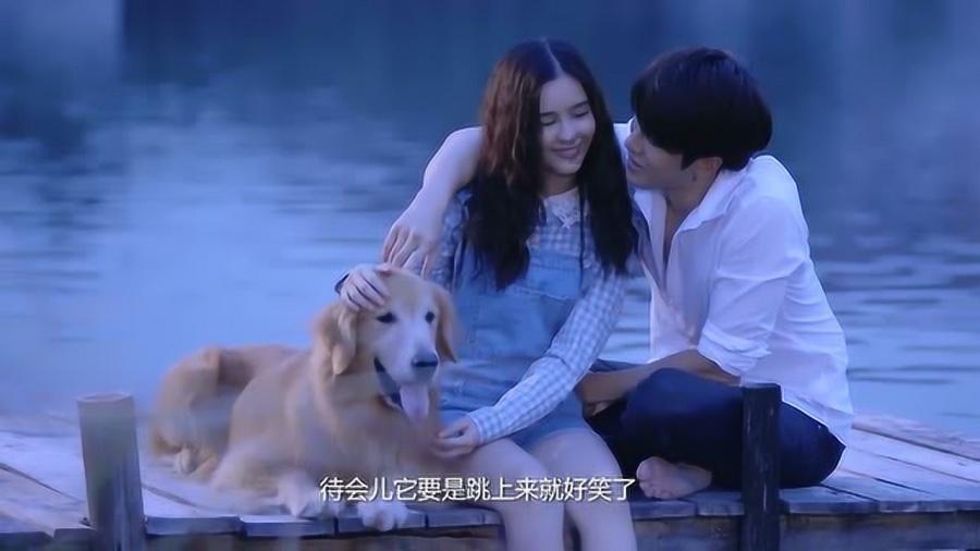 嘉兴科创金融环境如何?听听企业怎么说