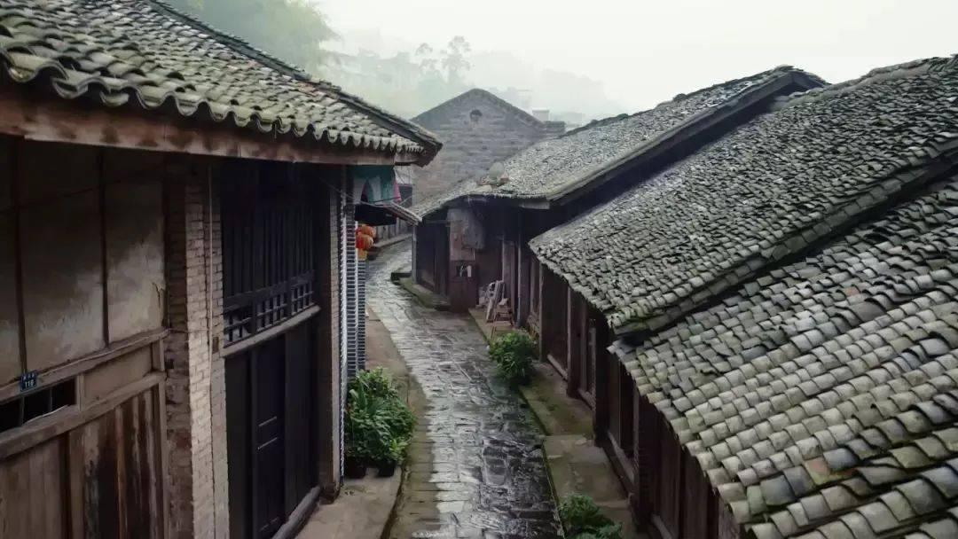 失忆症：猪猡